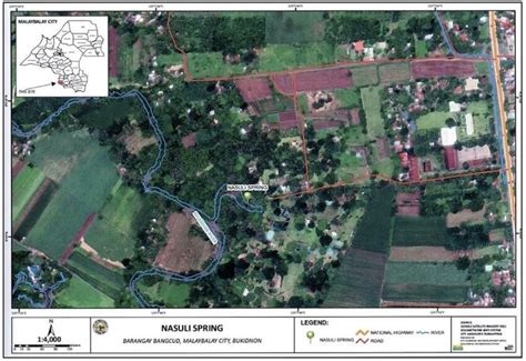 Satellite Map of Malaybalay .